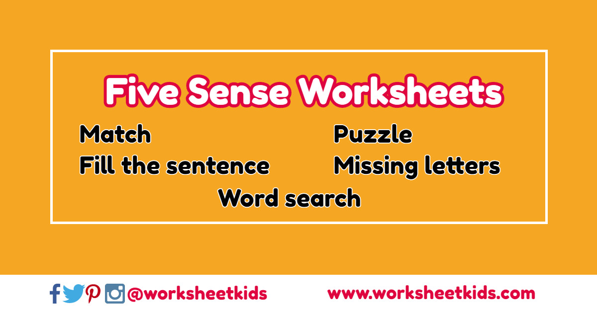 five senses for kids activities worksheet preschool kindergarten