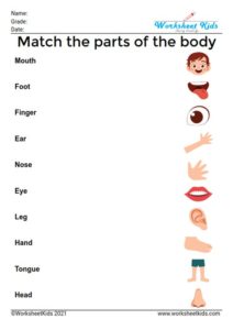 Body parts worksheet and activities for preschoolers and Kindergarten kids