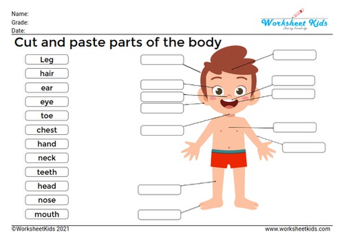 body parts worksheet and activities for preschoolers and kindergarten kids